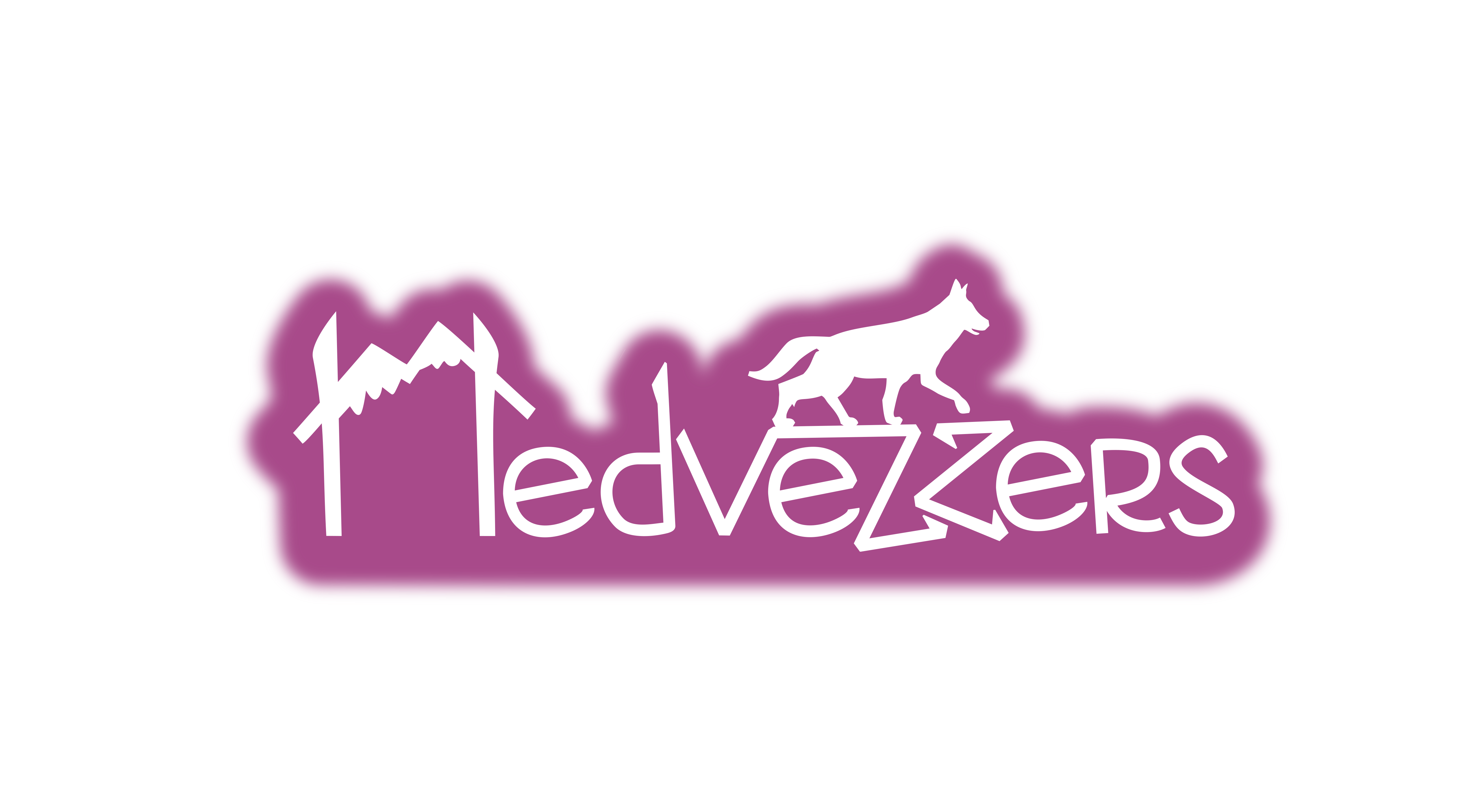 Medvezzers